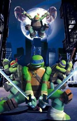 мы попали к черепашкам ниндзя.