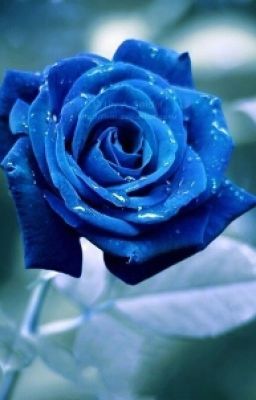 Отряд "Синяя роза"