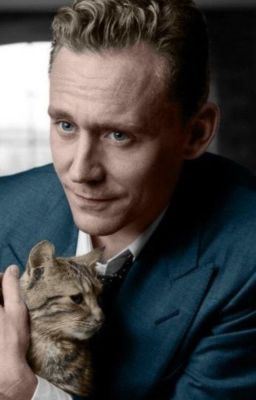 Кошки выбирают хозяев, а не наоборот