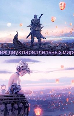 Меж двух параллельных миров