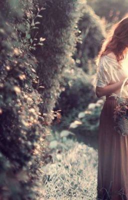 Пестрая цинния под дождем