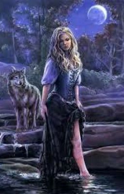 Волчья жизнь