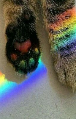 7 цветов радуги🌈