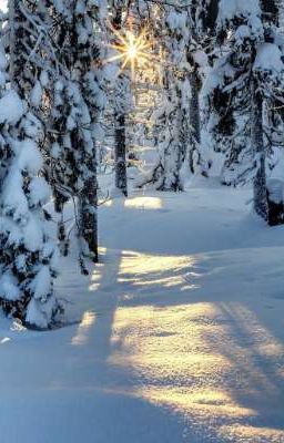 Castle cats. Гора Акпал Или Счастливого Муррждества!! 
