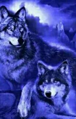 Истеная Альфа-самка и Истеный Альфа-самец.