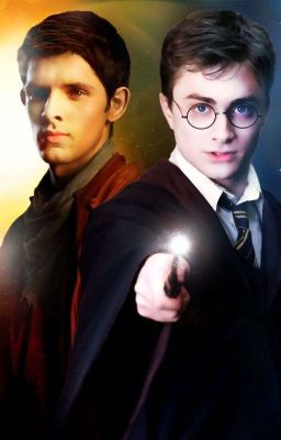 Гарри! Ты идиот! 