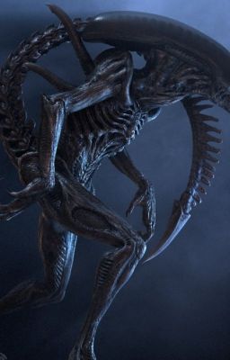 Алекс Ривендж. Чужие. Контакт