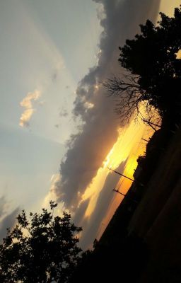 Когда ты-вампир