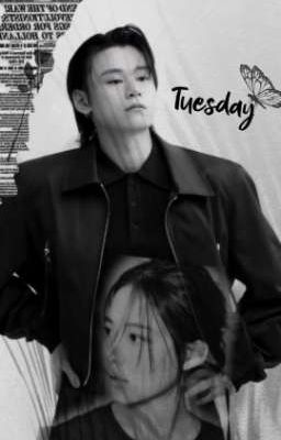 вторник | tuesday