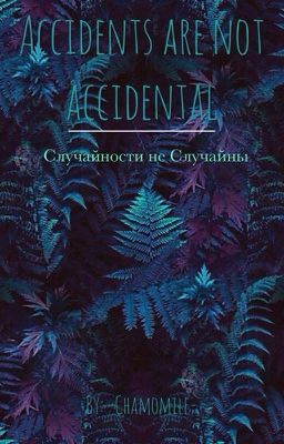 Accidents are not accidental.