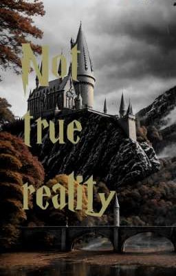 Не правдивая реальность