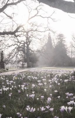 Просто мои мысли...