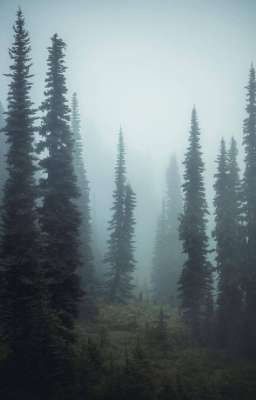 последняя поездка на природу..... 