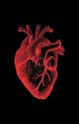 Обрывки последней любви