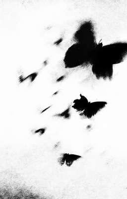 поменяет местами