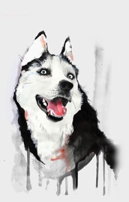 История про собаку 