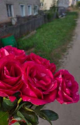 малышка Ти и ее пейтоша 