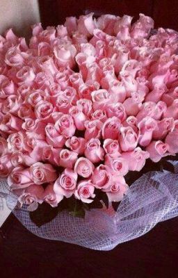 Дневник Одной Жизни