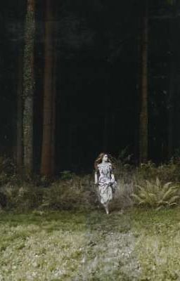 Чистое видение