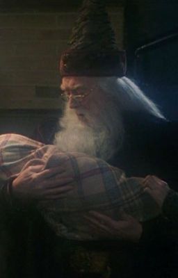 Гарри МакГонагалл