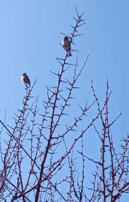 Душа описанный мозгом