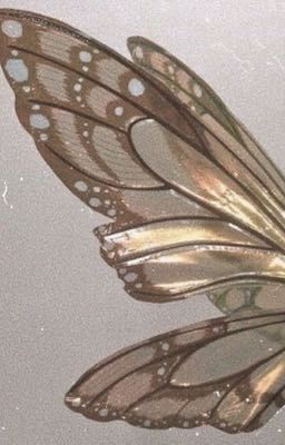 кладбище бабочек