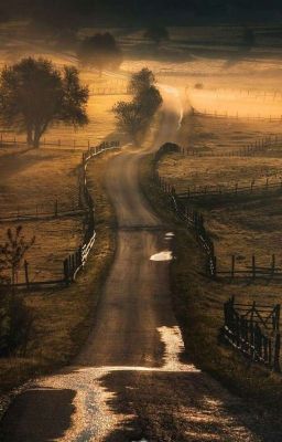 Советы начинающим писателям. Дмитрий Емец