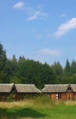 Долгожданная поездка