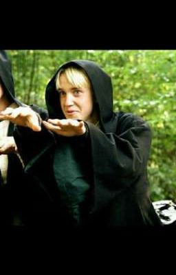 Малфой ты издеваешся?!