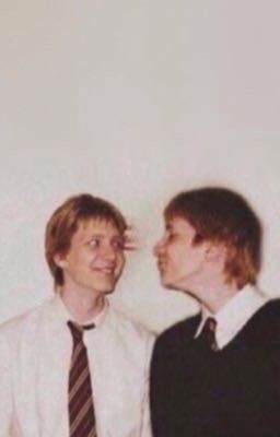 Мой Фред Уизли