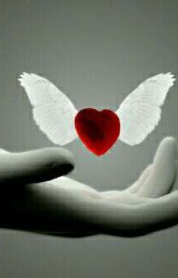 Океан Жизни