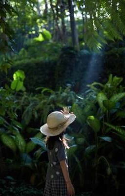 Однажды на полянке в летнем лесу...