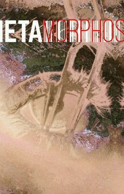 Метаморфоз