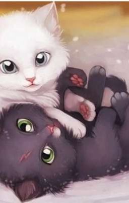 Любовь Гарри И Драко