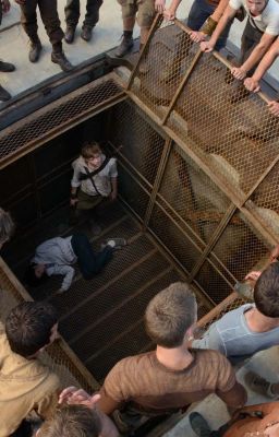 Первая и единственная...