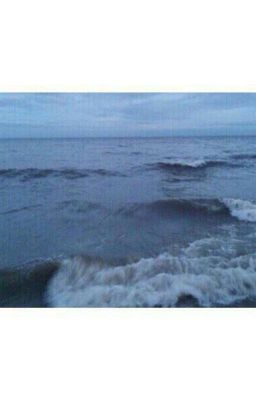 Литература и история