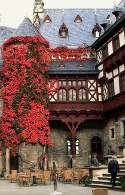 Обвиняя Волка во вечей шкуре