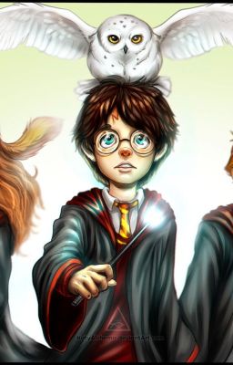 Гарри Поттер и наследница зла