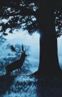 Победитель