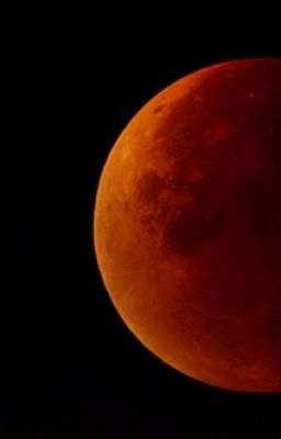 Ночь кровавой луны