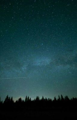 Лес, Академия, Приключения... 