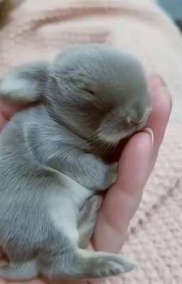 "малышка.., кто я?"