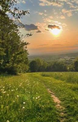 Путь к счастью 🖇️