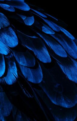 Октябрьские сказки