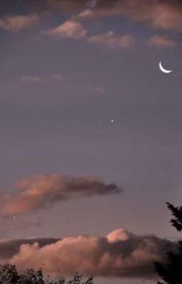 сотрудники или может...?