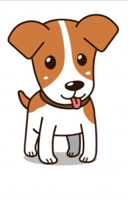 Классный джек рассел терьер 