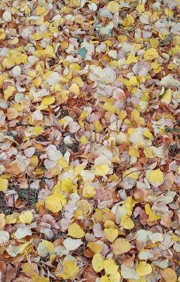 We fell in love in october