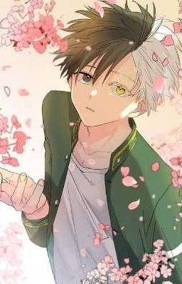 цветение сакуры