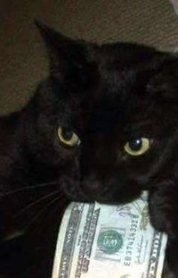 Снег после Дождя