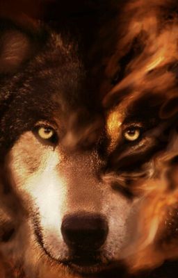 Война кланов, или как женить на себе Волка